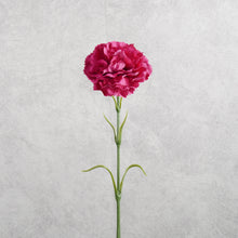 Load image into Gallery viewer, Carnation Hot Pink 50cm
