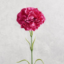 Load image into Gallery viewer, Carnation Hot Pink 50cm
