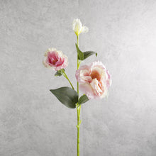 Load image into Gallery viewer, Lisianthus Mauve 70cm
