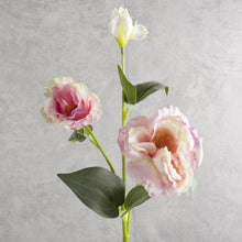 Load image into Gallery viewer, Lisianthus Mauve 70cm
