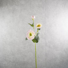 Load image into Gallery viewer, Lisianthus Light Pink 70cm
