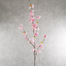 Load image into Gallery viewer, Cherry Blossom Pink 108cm
