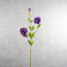 Load image into Gallery viewer, Lisianthus Light Purple 71cm
