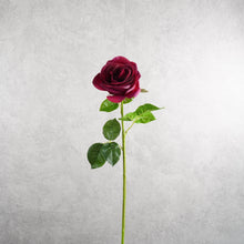 Load image into Gallery viewer, Rose Burgundy 64cm
