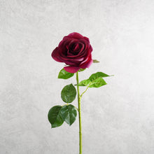 Load image into Gallery viewer, Rose Burgundy 64cm
