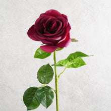 Load image into Gallery viewer, Rose Burgundy 64cm
