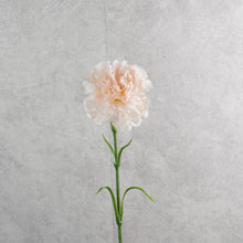 Load image into Gallery viewer, Carnation Single Light Pink 48cm
