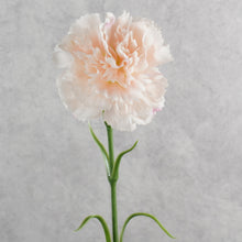 Load image into Gallery viewer, Carnation Single Light Pink 48cm
