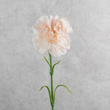 Load image into Gallery viewer, Carnation Single Light Pink 48cm
