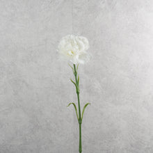 Load image into Gallery viewer, Carnation Single White 48cm
