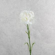 Load image into Gallery viewer, Carnation Single White 48cm
