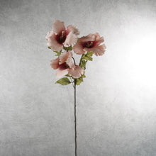 Load image into Gallery viewer, Hibiscus Pale Pink 82cm
