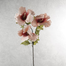 Load image into Gallery viewer, Hibiscus Pale Pink 82cm
