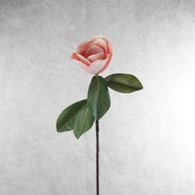 Load image into Gallery viewer, Magnolia Pink 81cm
