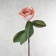 Load image into Gallery viewer, Magnolia Pink 81cm
