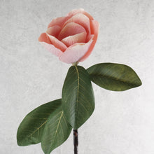 Load image into Gallery viewer, Magnolia Pink 81cm
