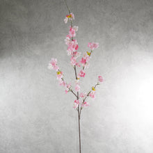 Load image into Gallery viewer, Cherry Blossom Pink 108cm
