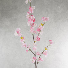 Load image into Gallery viewer, Cherry Blossom Pink 108cm
