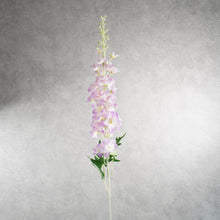 Load image into Gallery viewer, Delphinium Light Purple 120cm
