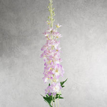 Load image into Gallery viewer, Delphinium Light Purple 120cm
