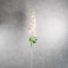 Load image into Gallery viewer, Delphinium Pink 120cm

