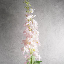 Load image into Gallery viewer, Delphinium Pink 120cm
