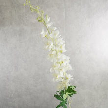 Load image into Gallery viewer, Delphinium White 120cm
