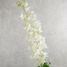 Load image into Gallery viewer, Delphinium White 120cm
