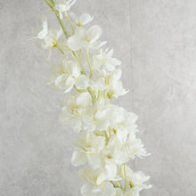 Load image into Gallery viewer, Delphinium White 120cm
