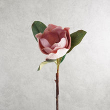 Load image into Gallery viewer, Magnolia Dark Pink 68cm
