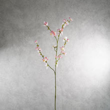 Load image into Gallery viewer, Blossom Pink 107cm
