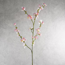Load image into Gallery viewer, Blossom Pink 107cm
