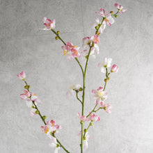 Load image into Gallery viewer, Blossom Pink 107cm
