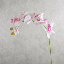 Load image into Gallery viewer, Orchid Pink 95cm
