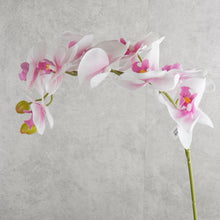 Load image into Gallery viewer, Orchid Pink 95cm
