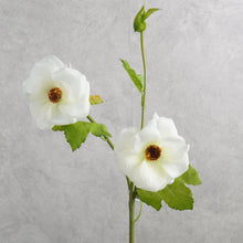 Load image into Gallery viewer, Malvaceae White 56cm
