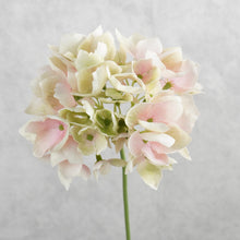 Load image into Gallery viewer, Hydrangea Pink 48cm
