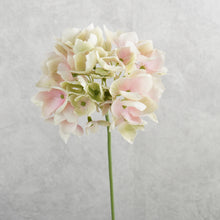 Load image into Gallery viewer, Hydrangea Pink 48cm

