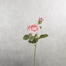 Load image into Gallery viewer, Rose Pink 46cm
