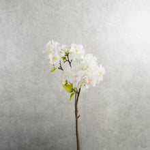 Load image into Gallery viewer, Blossom White 50cm
