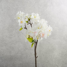 Load image into Gallery viewer, Blossom White 50cm
