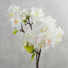 Load image into Gallery viewer, Blossom White 50cm
