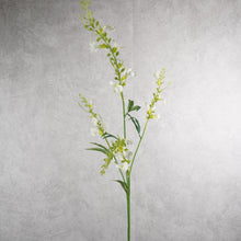 Load image into Gallery viewer, Catnip White 80cm
