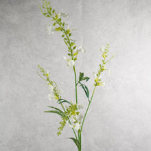 Load image into Gallery viewer, Catnip White 80cm
