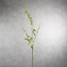 Load image into Gallery viewer, Catnip White 80cm
