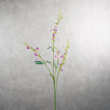 Load image into Gallery viewer, Catnip Mauve 80cm
