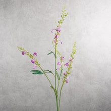 Load image into Gallery viewer, Catnip Mauve 80cm
