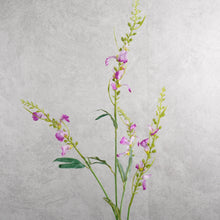 Load image into Gallery viewer, Catnip Mauve 80cm
