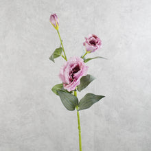 Load image into Gallery viewer, Lisianthus Purple 70m
