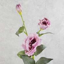 Load image into Gallery viewer, Lisianthus Purple 70m
